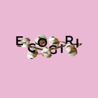 Ecogiri logo - Similar company to Bring It On Pvt. Ltd.