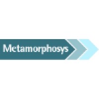 Metamorphosys Limited