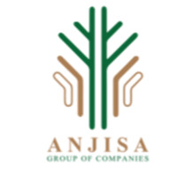 Anjisa Group of Companies logo - Similar company to Data Consept Network N.V.