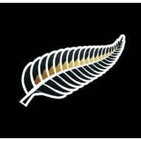 The New Zealand Goalkeeping Institute logo - Similar company to Absolute Value New Zealand