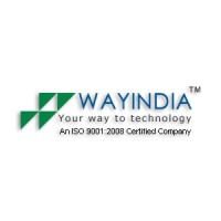 Wayindia Software Solution Pvt. Ltd. logo - Similar company to Zeetsoft