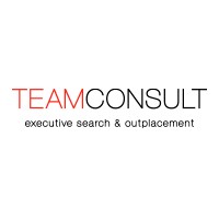 Teamconsult logo - Similar company to Iic Partners
