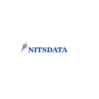 NITS Data Services Inc logo - Similar company to Lnteks Technologies Private Limited