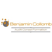 Benjamin Collomb Audit Conseil Formation logo - Similar company to Cantata