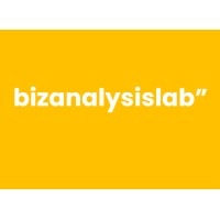 Bizanalysislab