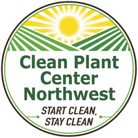 Clean Plant Center Northwest logo - Similar company to Greenleaf Solutions Llc