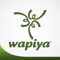 Wapiya Consultoria em Recursos Humanos logo - Similar company to Ágoraeca