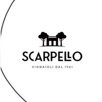 Scarpello Vini logo - Similar company to Condello Group