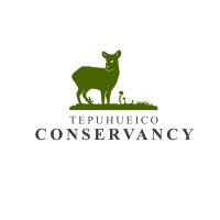 Tepuhueico Conservancy logo - Similar company to Fundación Bunny Lovers Chile