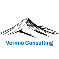 Vermio Consulting logo - Similar company to Nanopattern Technologies, Inc.