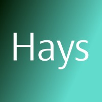Hays Technologies logo - Similar company to Hays Technologies