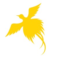 360 Support Solutions logo - Similar company to Kumul Intelligence