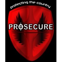 PRO SECURE logo - Similar company to Dsg Security