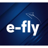 E-Fly logo - Similar company to Efly Mobility