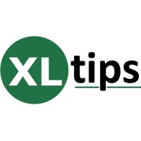 Excel & VBA Made Simple – XL Tips logo - Similar company to Appcity Infotech