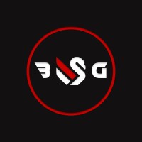 Black Swans Group logo - Similar company to Lakeroad Gestion D'Actifs Inc