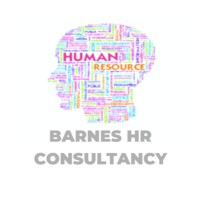 Barnes HR Consultancy logo - Similar company to The Reverse Mentoring Practice