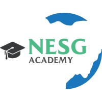 NESG Academy logo - Similar company to Beccamola