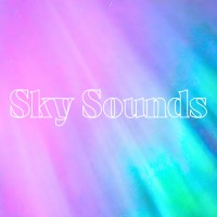 Sky Sounds logo - Similar company to Blend On Main