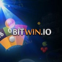 Bitwin.io logo - Similar company to Insightmind