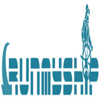 RUNMYSHIP logo - Similar company to Ayassure