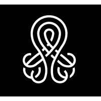 Immersive Octopus logo - Similar company to Experience Republic