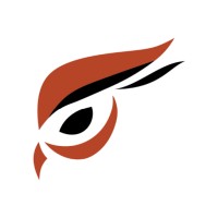Raptoreum logo - Similar company to Membula