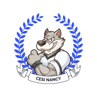 BDE CESI Nancy logo - Similar company to Civilisationit