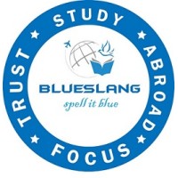 Blueslang Academy logo - Similar company to Bornov Engineering