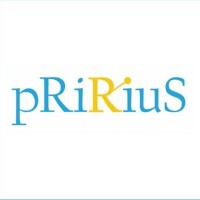PriRius logo - Similar company to Audiency