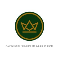 Amaste Investering logo - Similar company to Intensive Code