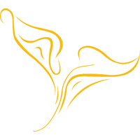 Lily Advisory Ltd logo - Similar company to Aae Gamit