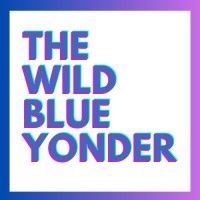 The Wild Blue Yonder logo - Similar company to Brandalize