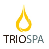 Trio SpA logo - Similar company to Algorg Ltda.