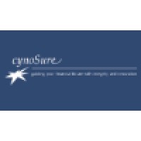 cynoSure Financial, Inc. logo - Similar company to Summit Life Group