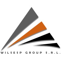 Wilsesp Group S.R.L. logo - Similar company to Servitek Consulting