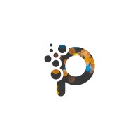Code X Pro India logo - Similar company to Pi Technologies