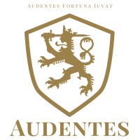 INVESTMENT OPPORTUNITIES INTERNATIONAL logo - Similar company to Pulse Advisory