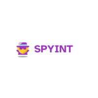 SPYINT logo - Similar company to Rapid Info Solutions - India