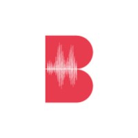 Bmusician logo - Similar company to Visionsam