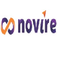 Novire Technologies Pvt. Ltd logo - Similar company to Datamoulds
