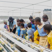 STEM GARDEN INITIATIVE logo - Similar company to Delic
