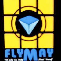 QUANZHOU FLYMAY IMPORT AND EXPORT TRADE CO., LTD. logo - Similar company to Doing Footwear