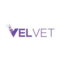 Velvet Desenvolvimento de Software logo - Similar company to Sled