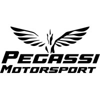 Pegassi Motorsport logo - Similar company to Tapybl