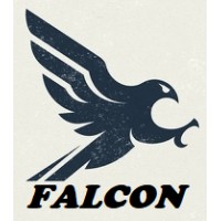 Falcon Tecnologia logo - Similar company to Neuronno
