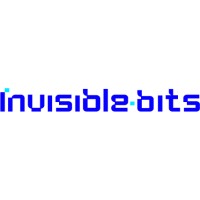 Invisible Bits logo - Similar company to Numentech