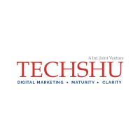 TechShu.com - 360 Degree Digital Marketing logo - Similar company to DSF - DigiSciFi Technologies