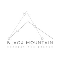Black Mountain logo - Similar company to Burnsys