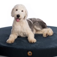 Gorilla Dog Beds logo - Similar company to Workarmor Apparel